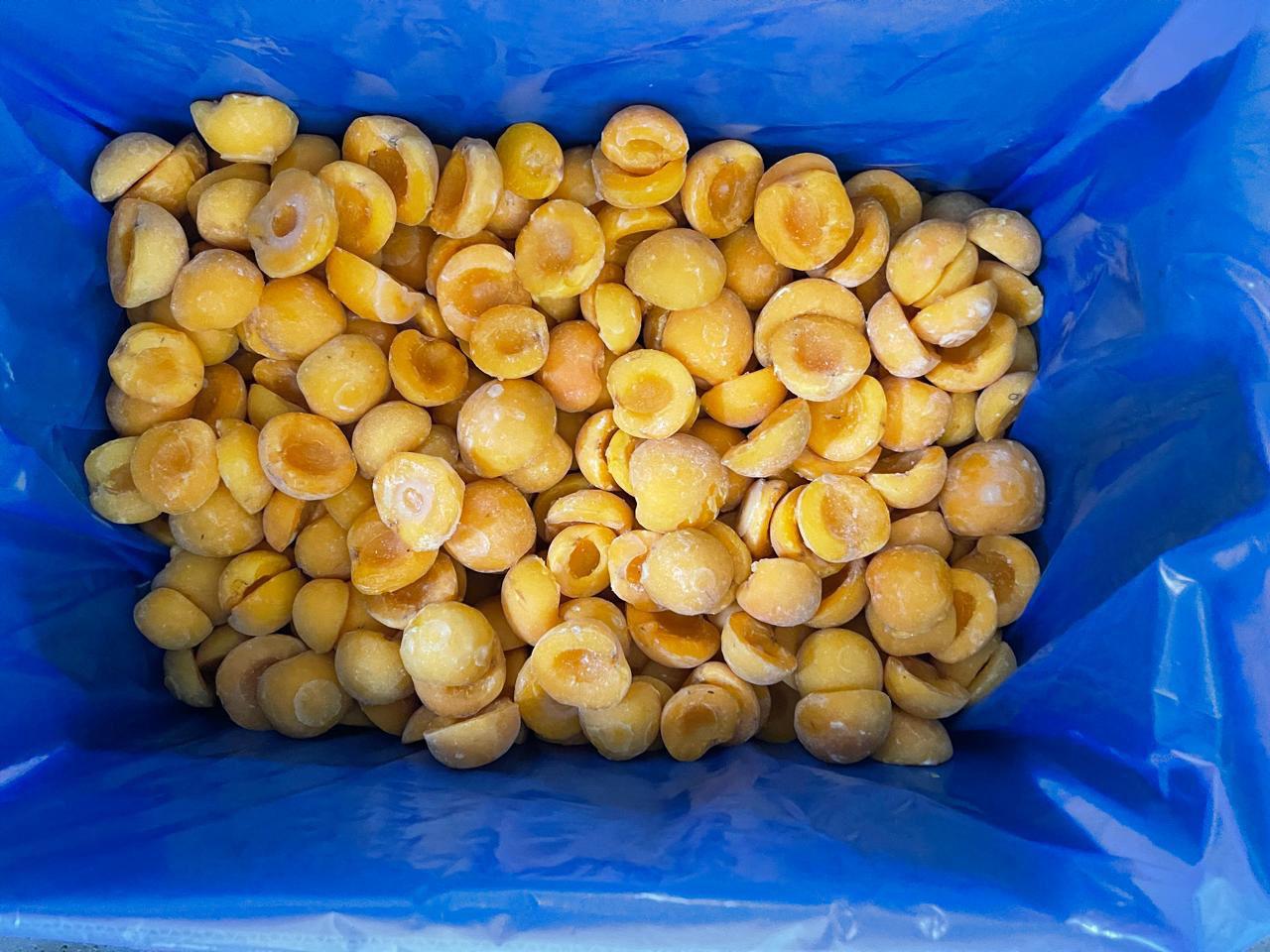 Apricot