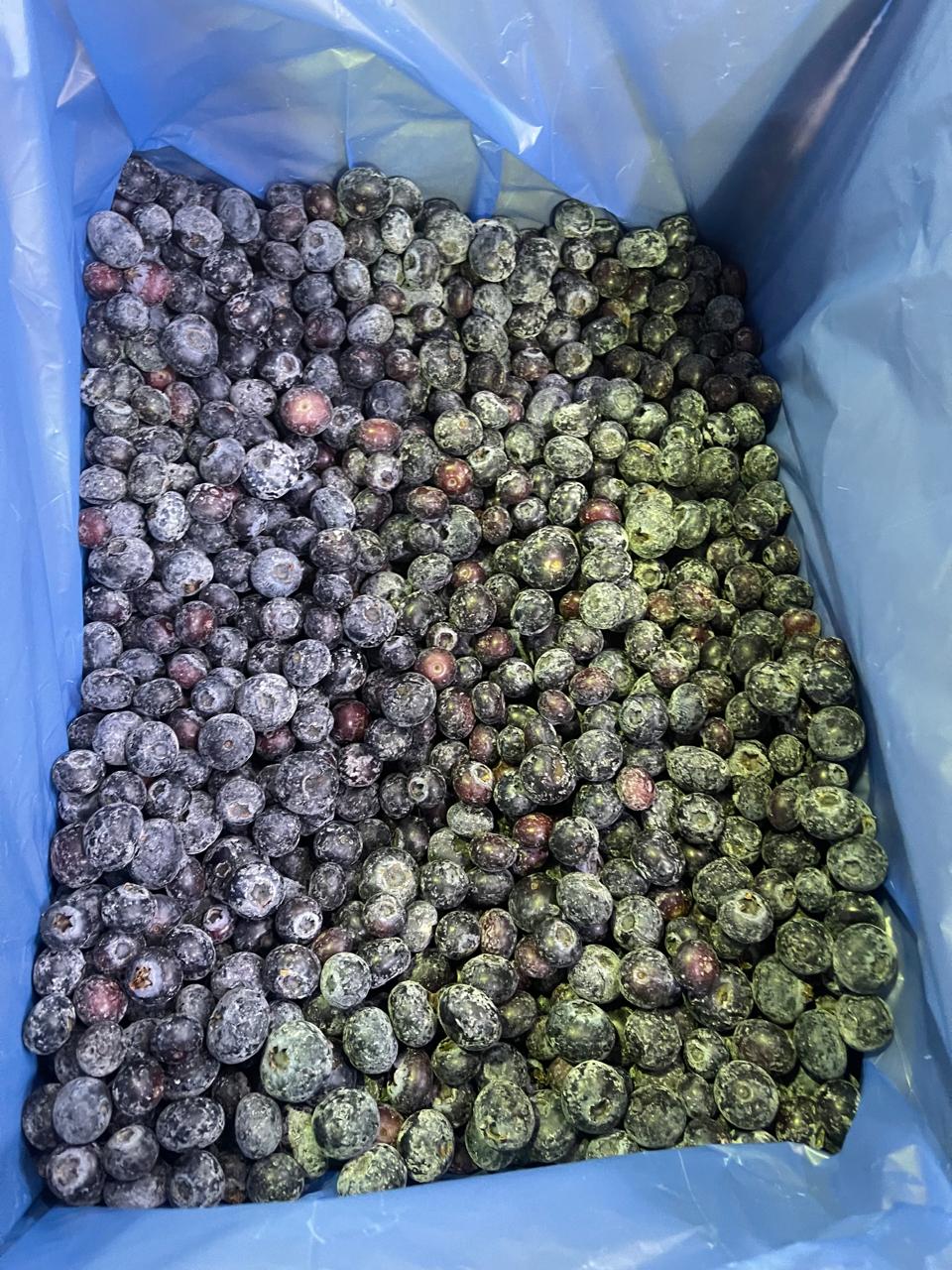 Blueberry